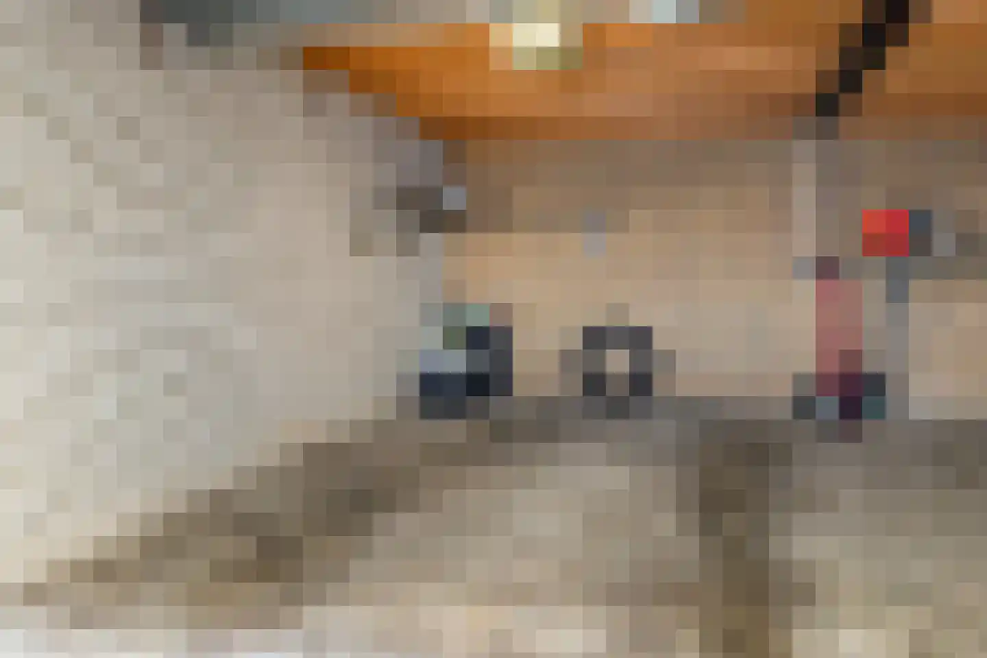 Verdilaan 43 Breda thumbnail 30
