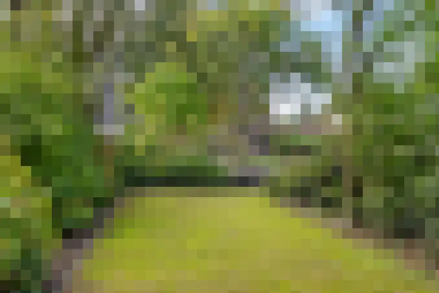 Verdilaan 43 Breda thumbnail 32