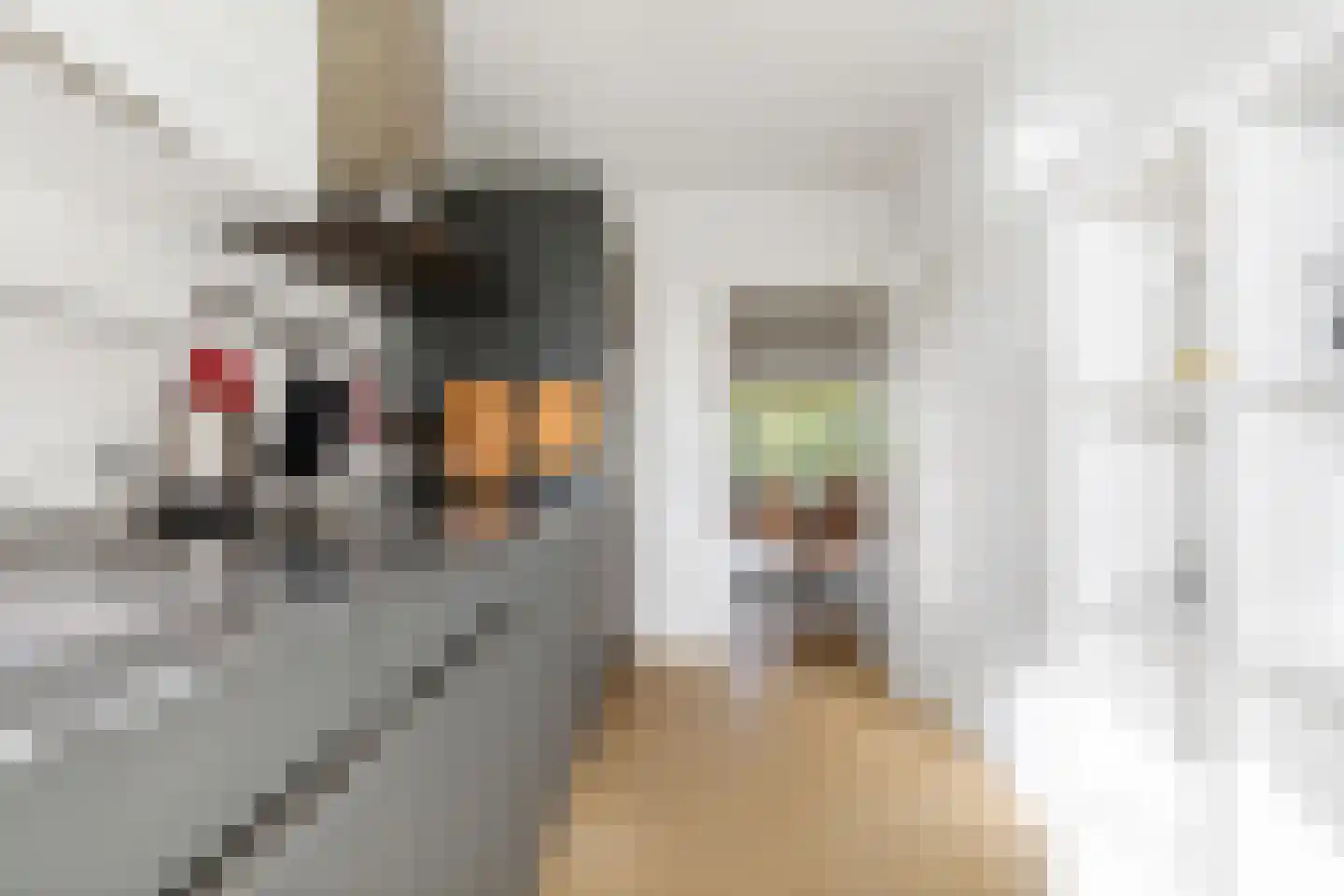 Verdilaan 43 Breda thumbnail 5