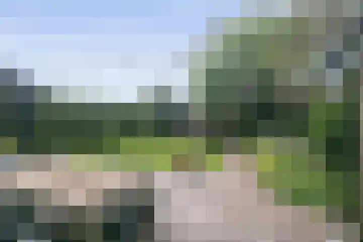 Verdilaan 5 Goes thumbnail 10