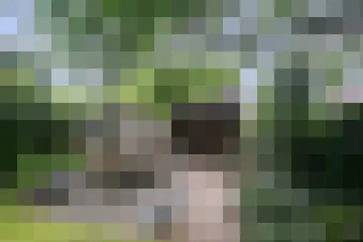 Verdilaan 5 Goes thumbnail 12