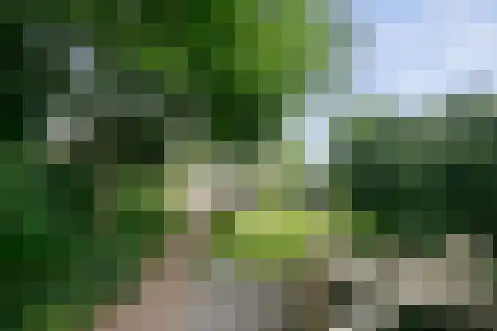 Verdilaan 5 Goes thumbnail 13