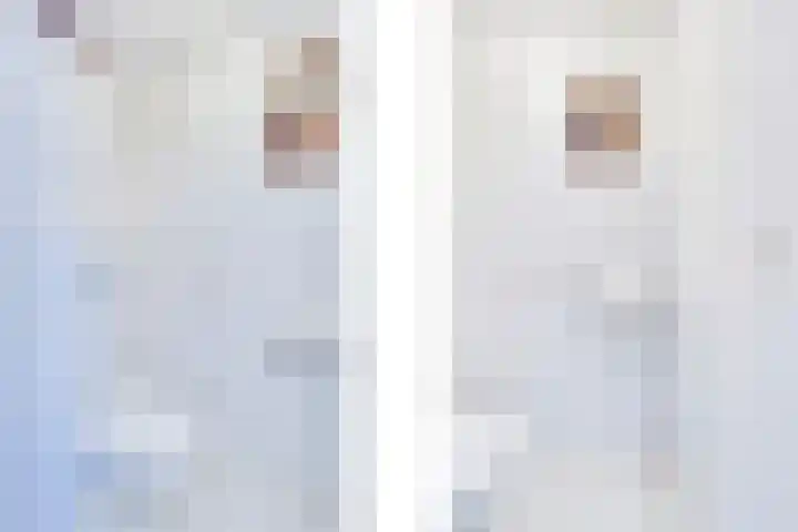 Verdilaan 5 Goes thumbnail 17