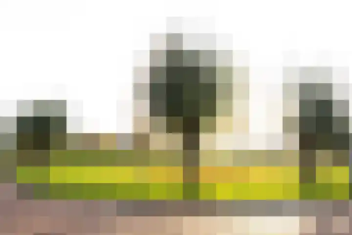 Verdilaan 5 Goes thumbnail 38