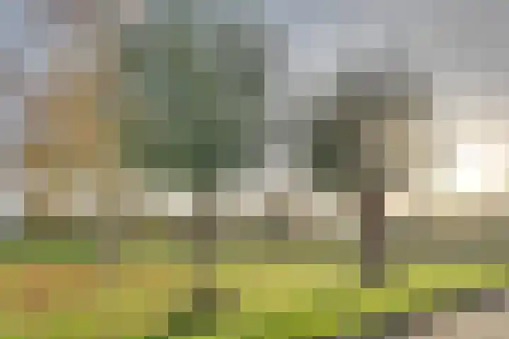 Verdilaan 5 Goes thumbnail 39