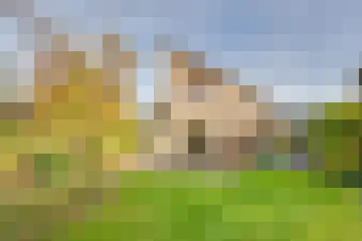 Verdilaan 5 Goes thumbnail 4