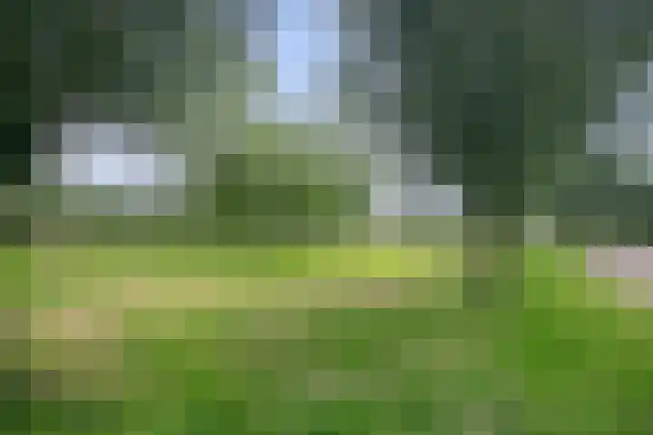 Verdilaan 5 Goes thumbnail 40