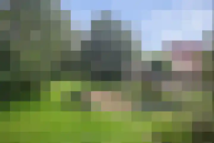Verdilaan 5 Goes thumbnail 41