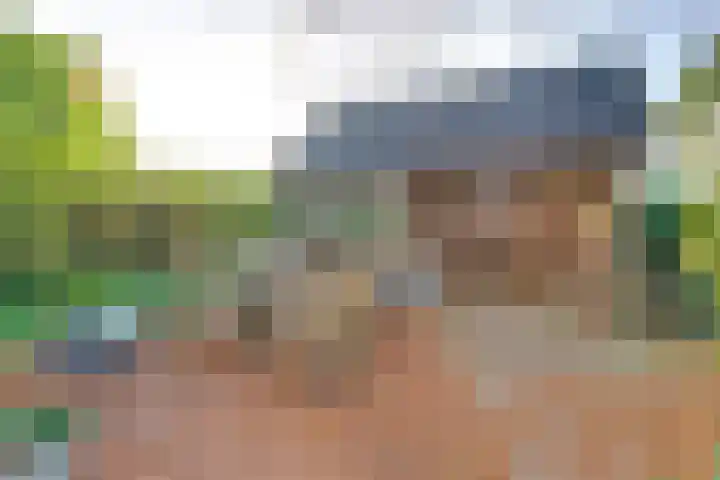 Verdilaan 5 Goes thumbnail 6