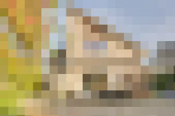 Verdilaan 5 Goes thumbnail 7