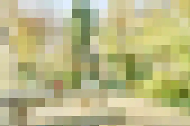 Verdilaan 5 Goes thumbnail 8