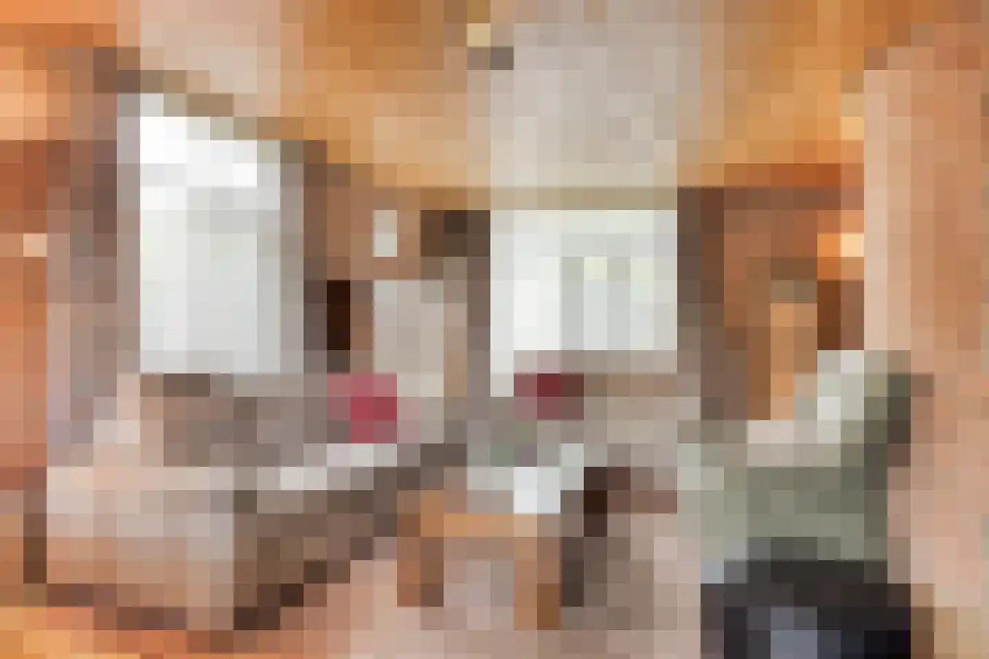 Verdilaan 5 Heesch thumbnail 10