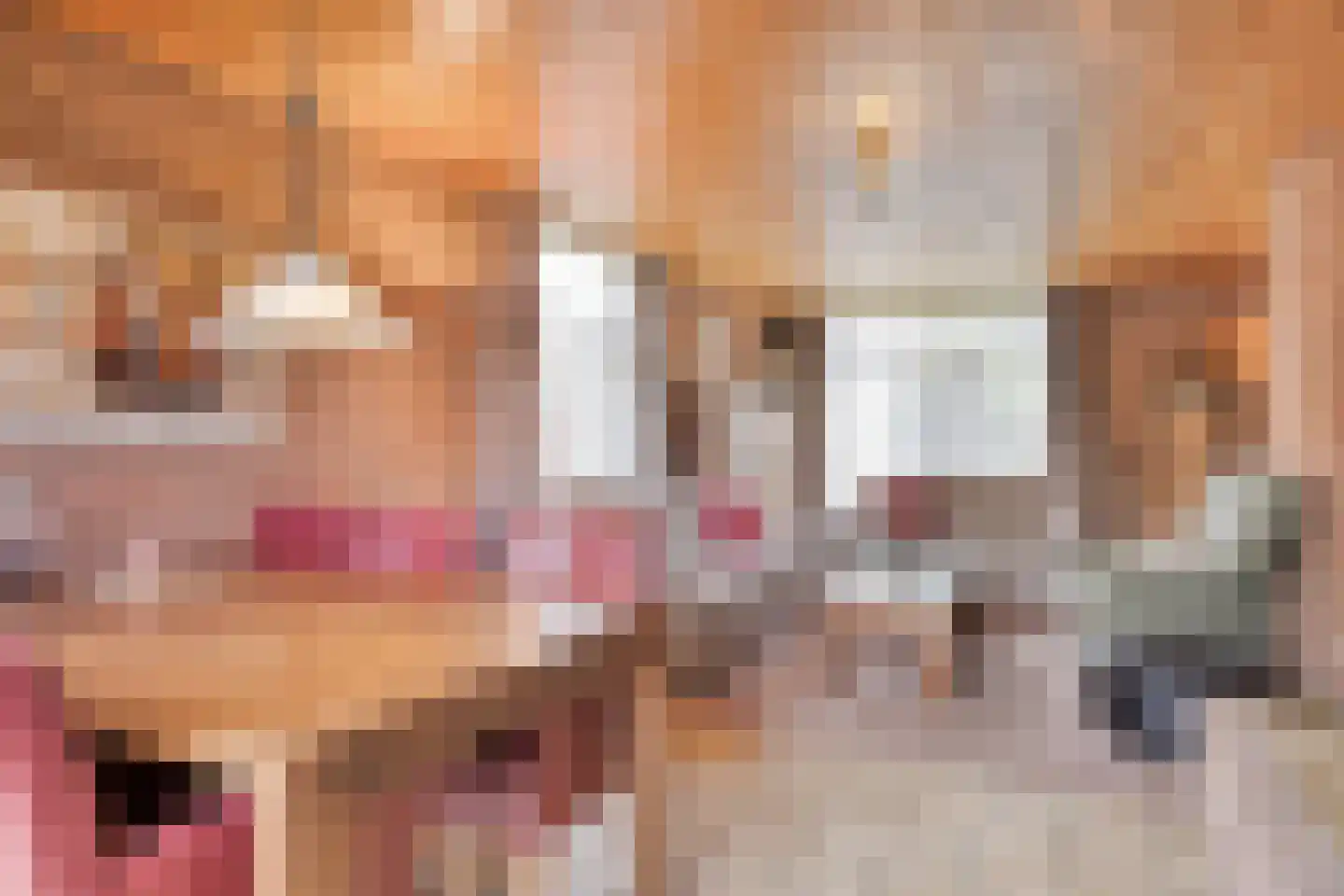 Verdilaan 5 Heesch thumbnail 13