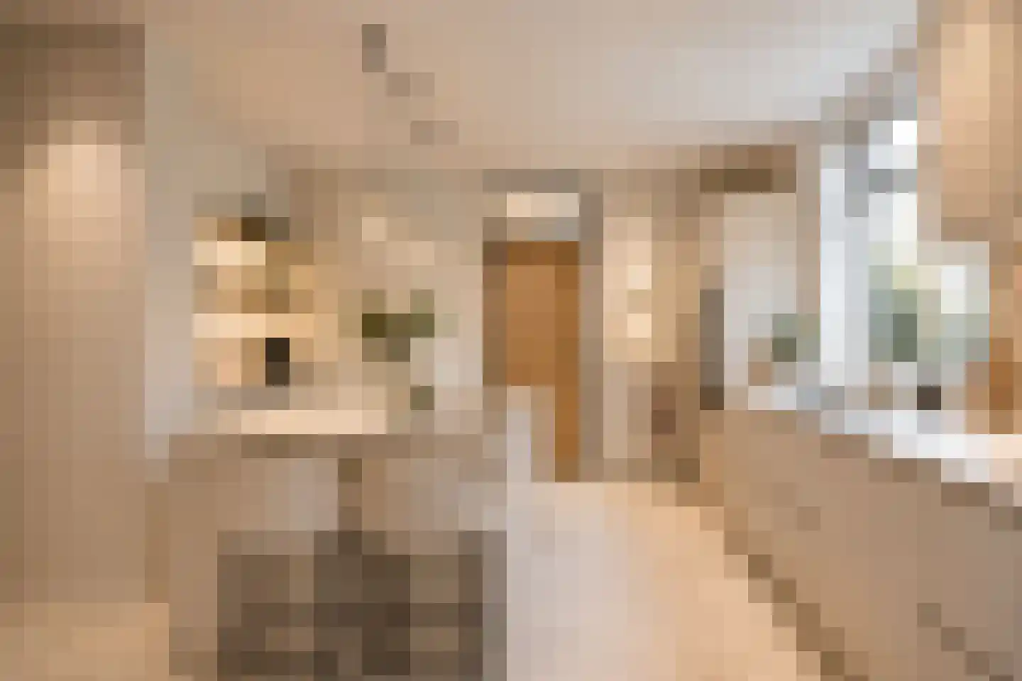 Verdilaan 5 Heesch thumbnail 16