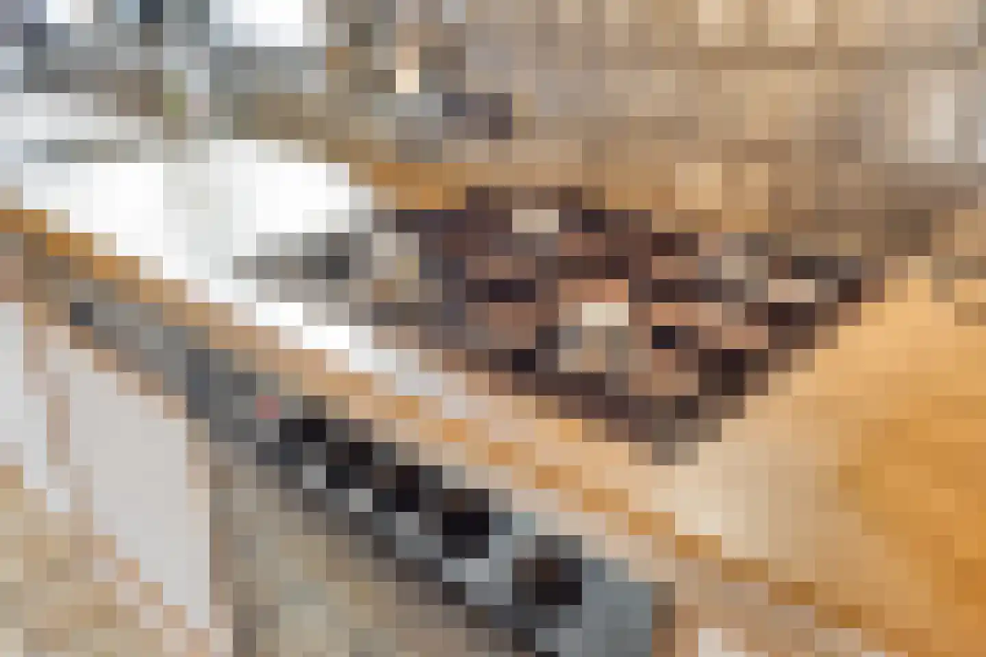 Verdilaan 5 Heesch thumbnail 17