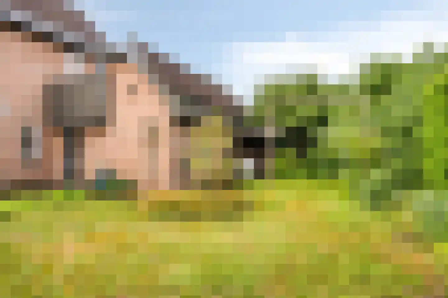 Verdilaan 5 Heesch foto 3