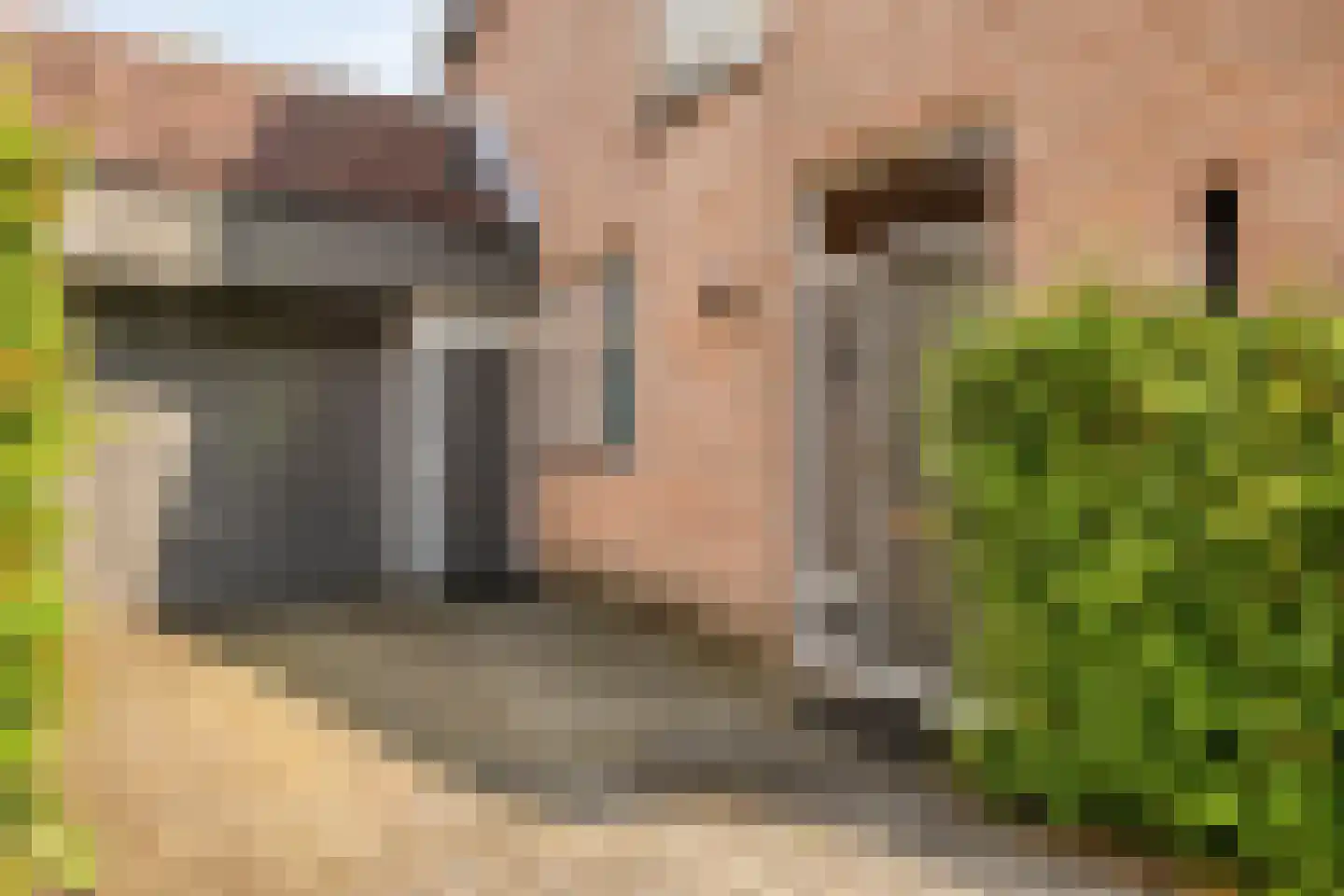 Verdilaan 5 Heesch thumbnail 4