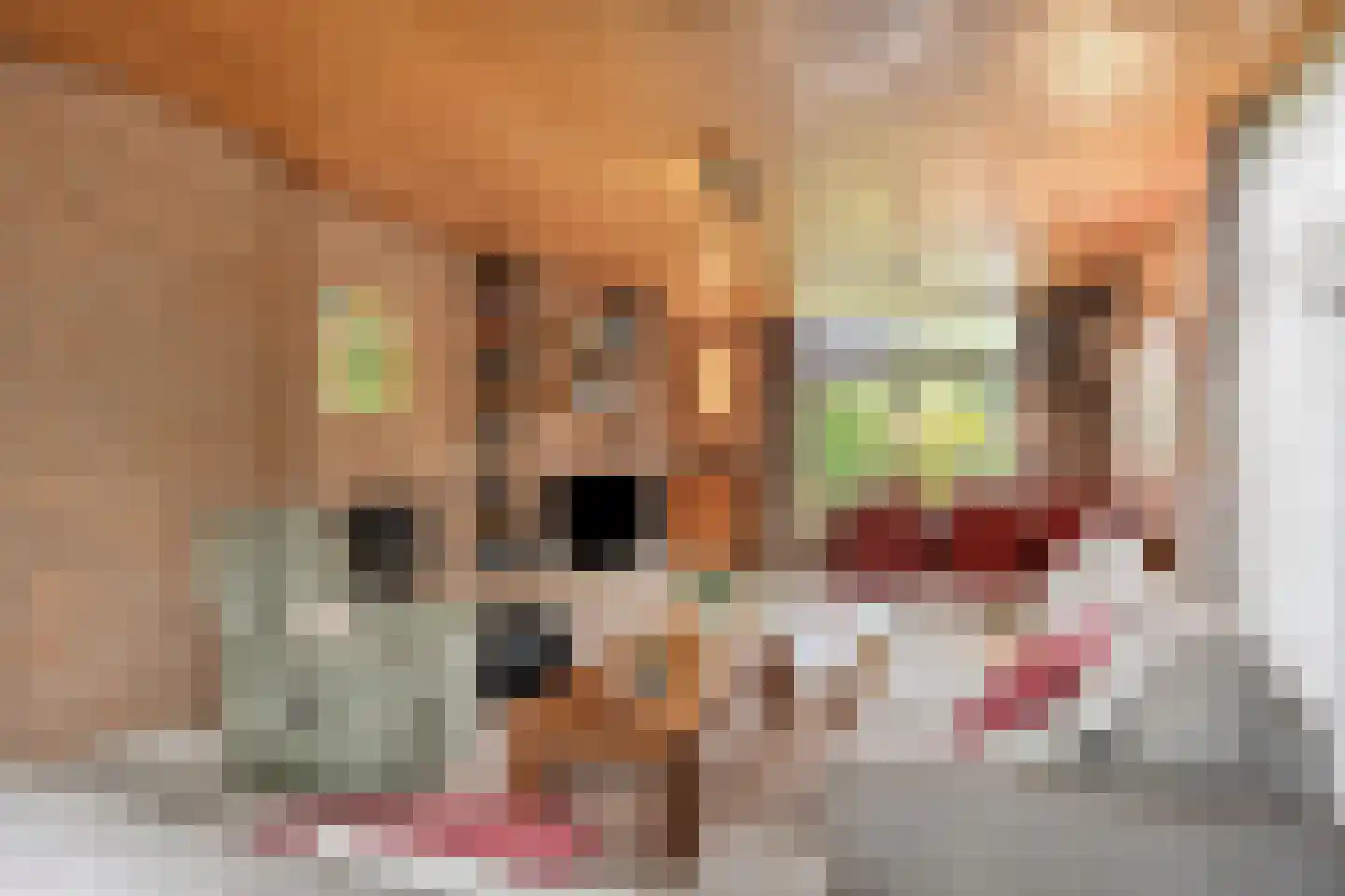 Verdilaan 5 Heesch thumbnail 7