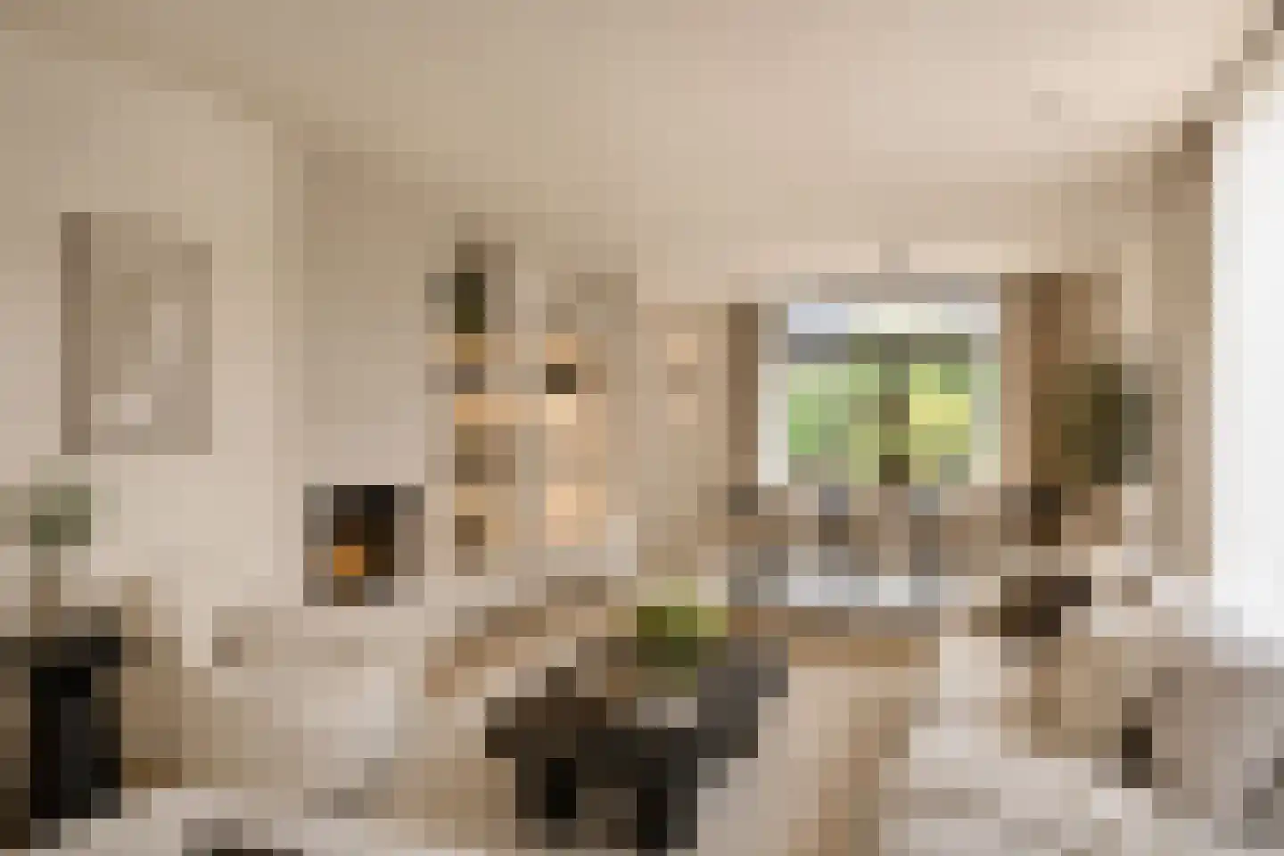 Verdilaan 5 Heesch thumbnail 8