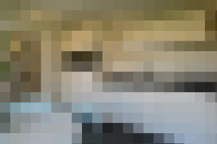 Verdilaan 5 Huizen thumbnail 20