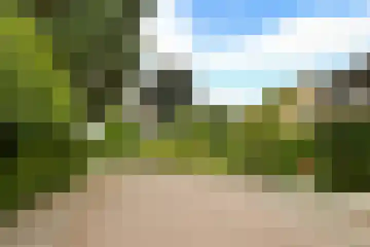 Verdilaan 5 Huizen thumbnail 34