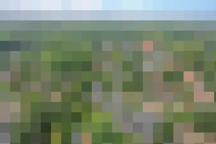 Verdilaan 5 Huizen thumbnail 35