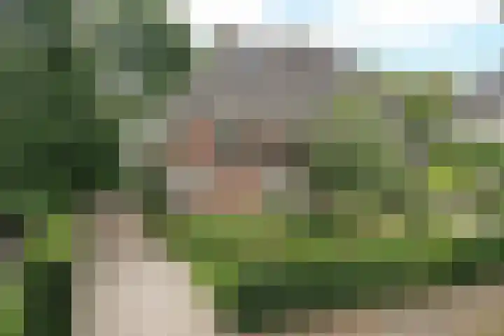 Verdilaan 5 Huizen thumbnail 5