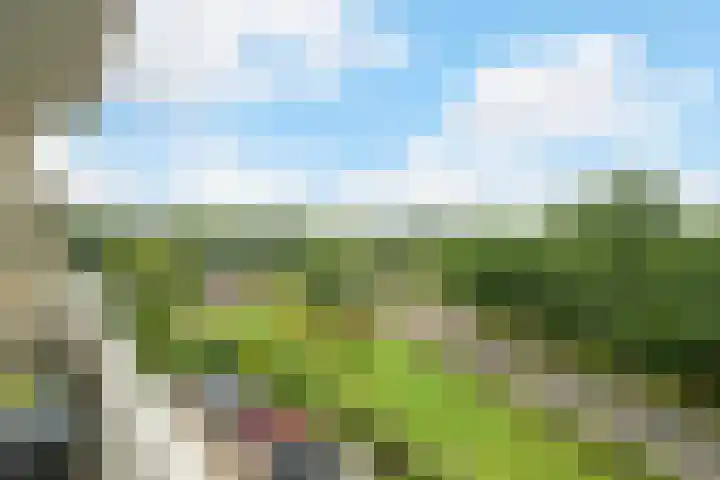 Verdilaan 55 Breda thumbnail 17