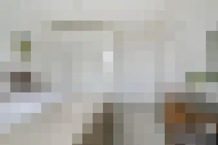 Verdilaan 55 Breda thumbnail 20