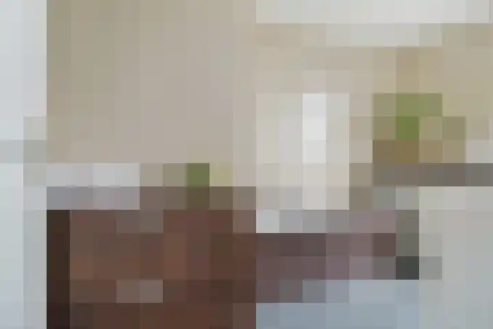 Verdilaan 55 Breda thumbnail 24