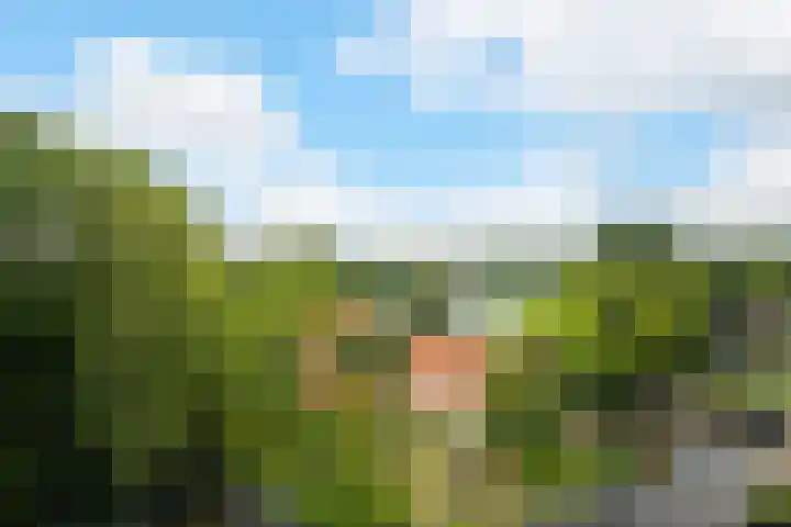 Verdilaan 55 Breda thumbnail 29