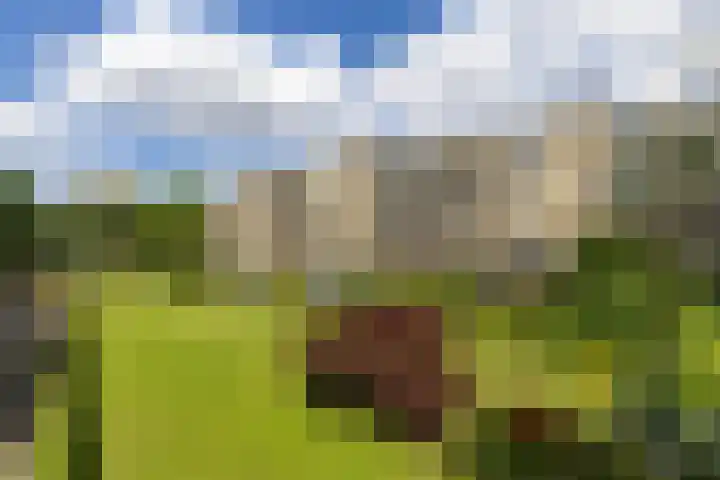 Verdilaan 55 Breda thumbnail 5