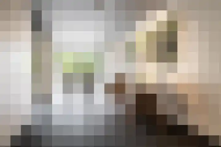 Verdilaan 55 Breda thumbnail 8