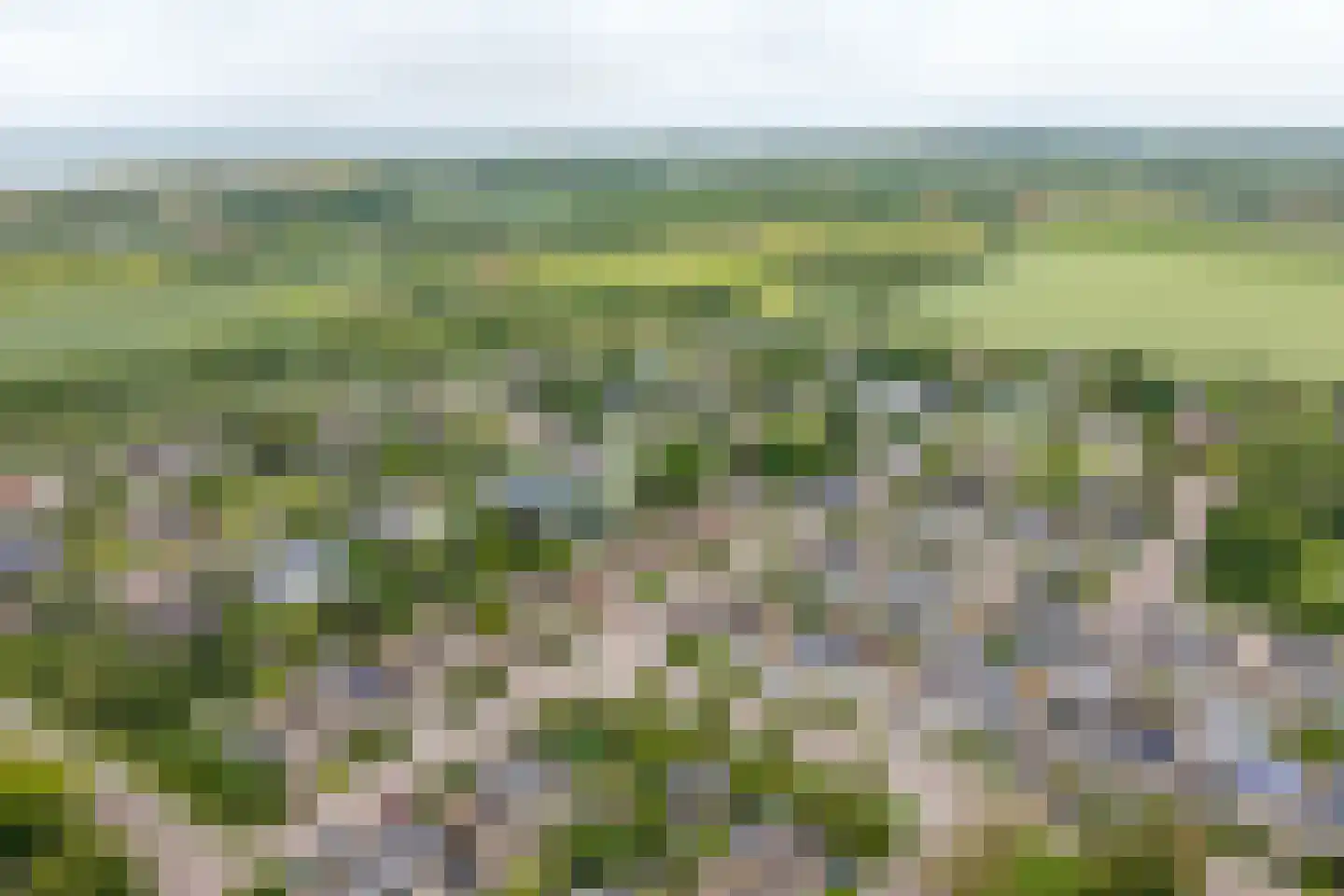 Verdilaan 58 Vlissingen thumbnail 35