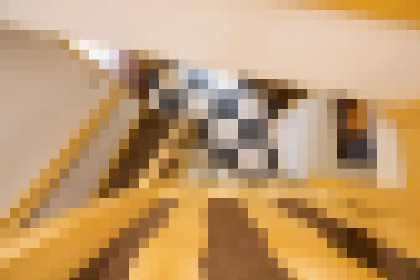 Verdilaan 8 Hilversum thumbnail 36