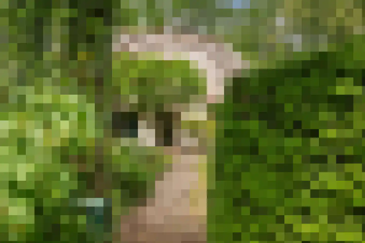 Verdilaan 8 Hilversum thumbnail 51