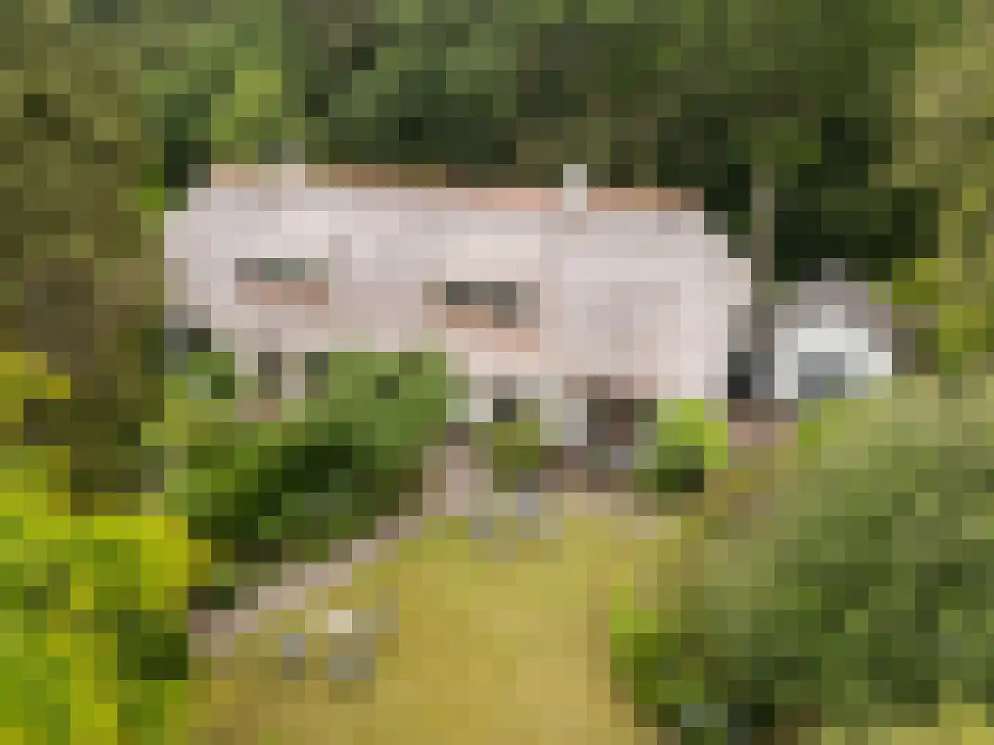 Verdilaan 8 Hilversum thumbnail 55