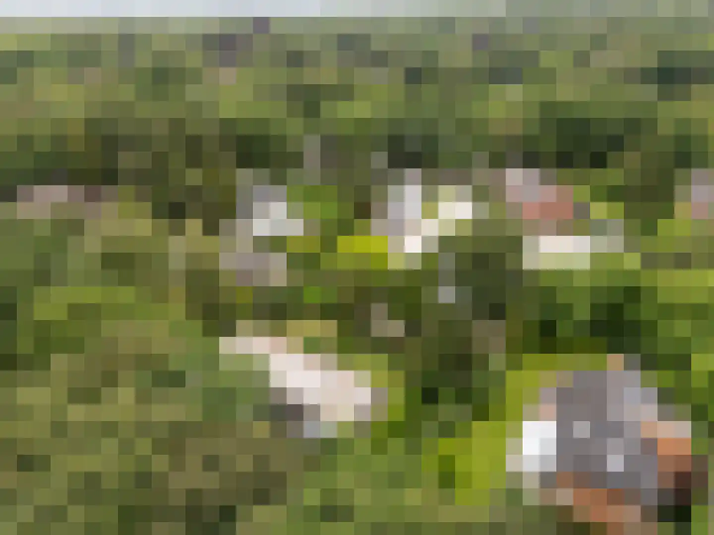 Verdilaan 8 Hilversum thumbnail 57