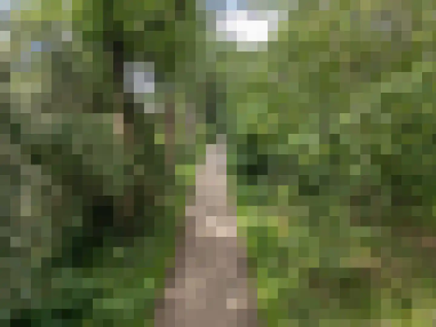 Verdilaan 8 Hilversum thumbnail 61
