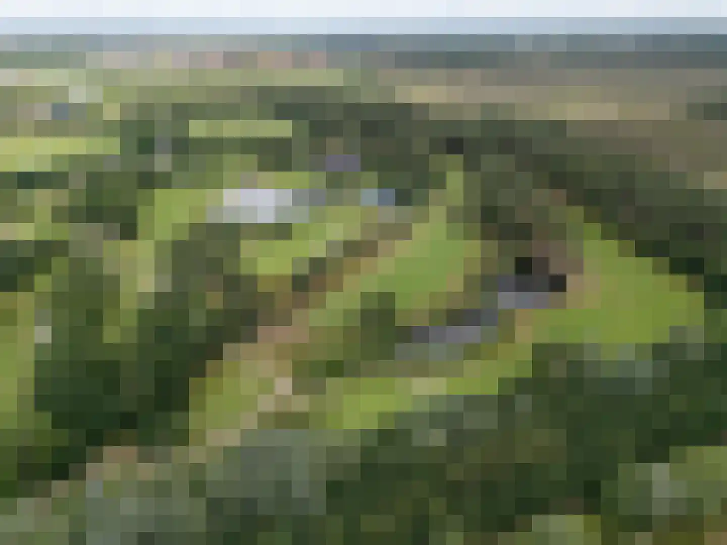 Verdilaan 8 Hilversum thumbnail 66