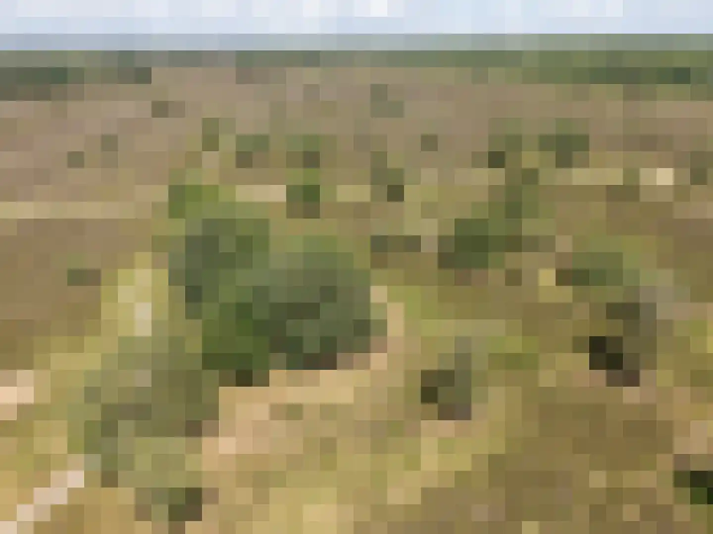 Verdilaan 8 Hilversum thumbnail 67