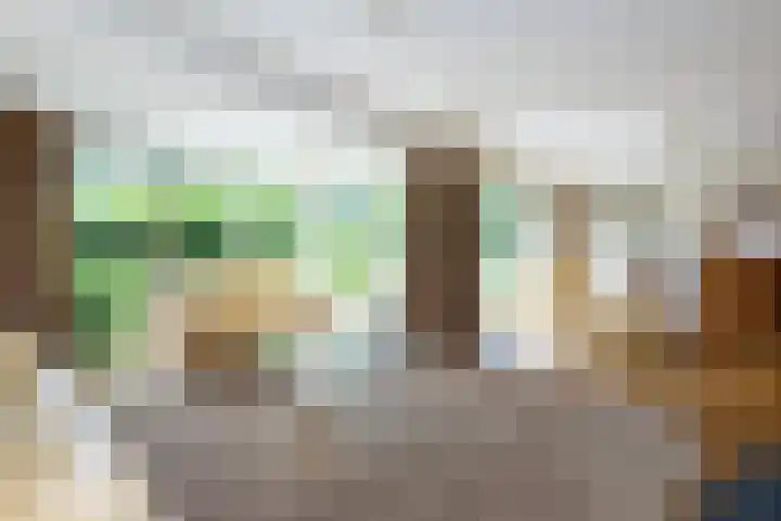 Verdilaan 9 Dirksland thumbnail 10