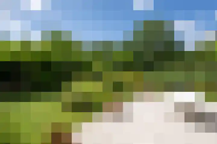Verdilaan 9 Dirksland thumbnail 34