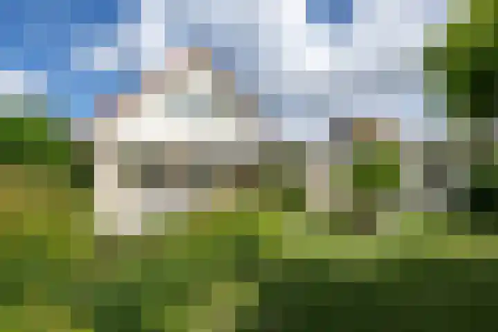 Verdilaan 9 Dirksland thumbnail 38