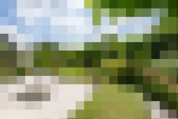 Verdilaan 9 Dirksland thumbnail 4