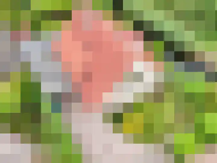 Verdilaan 9 Dirksland thumbnail 41