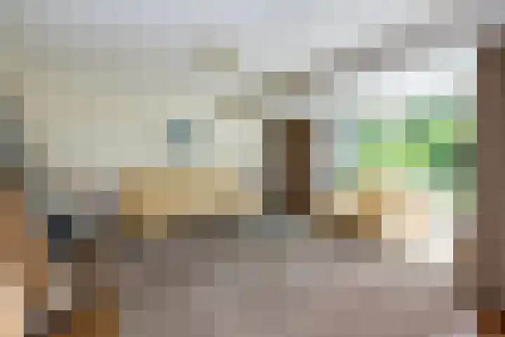 Verdilaan 9 Dirksland thumbnail 9