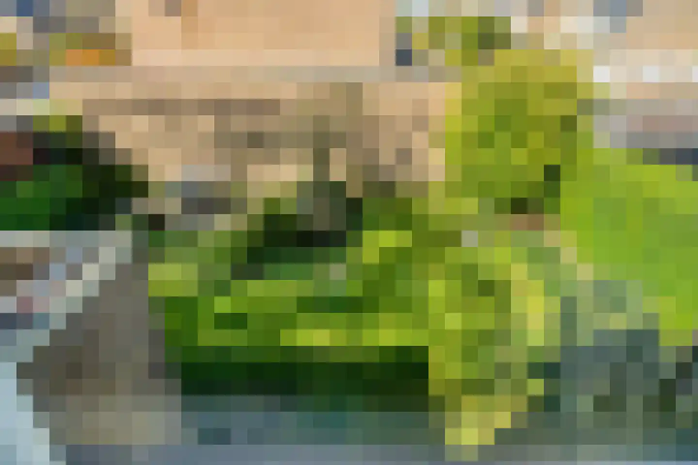 Verdilaan 91 Vlissingen thumbnail 30