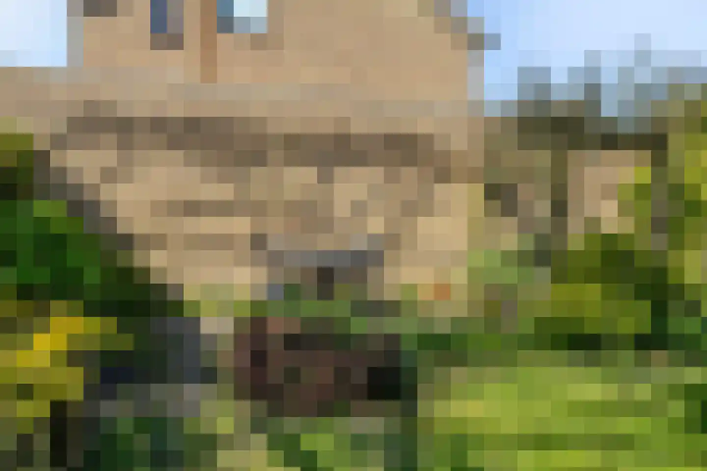 Verdilaan 91 Vlissingen thumbnail 35