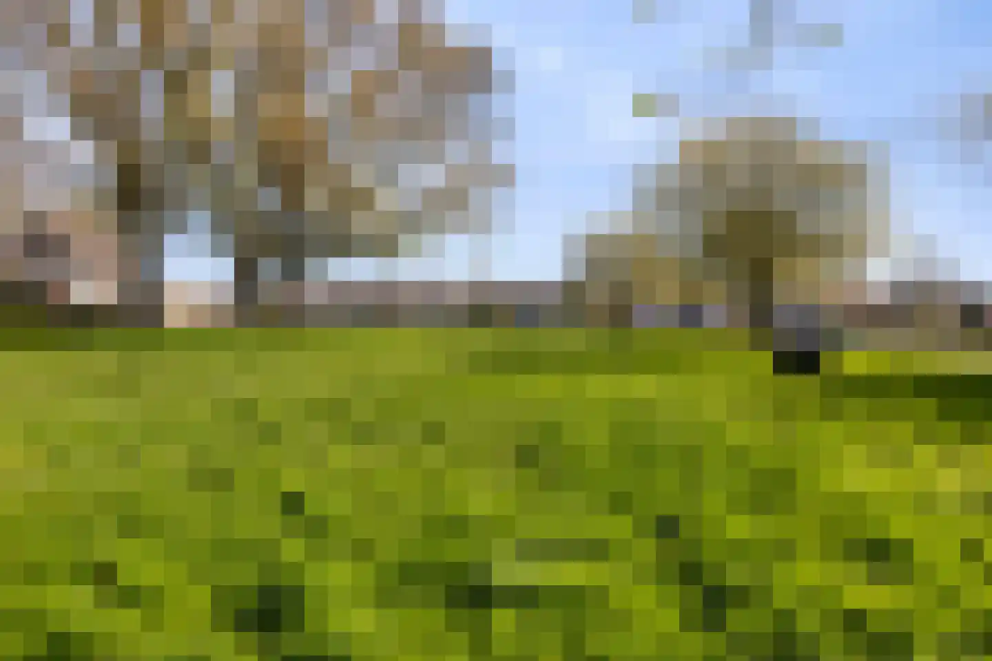 Verdilaan 91 Vlissingen thumbnail 47